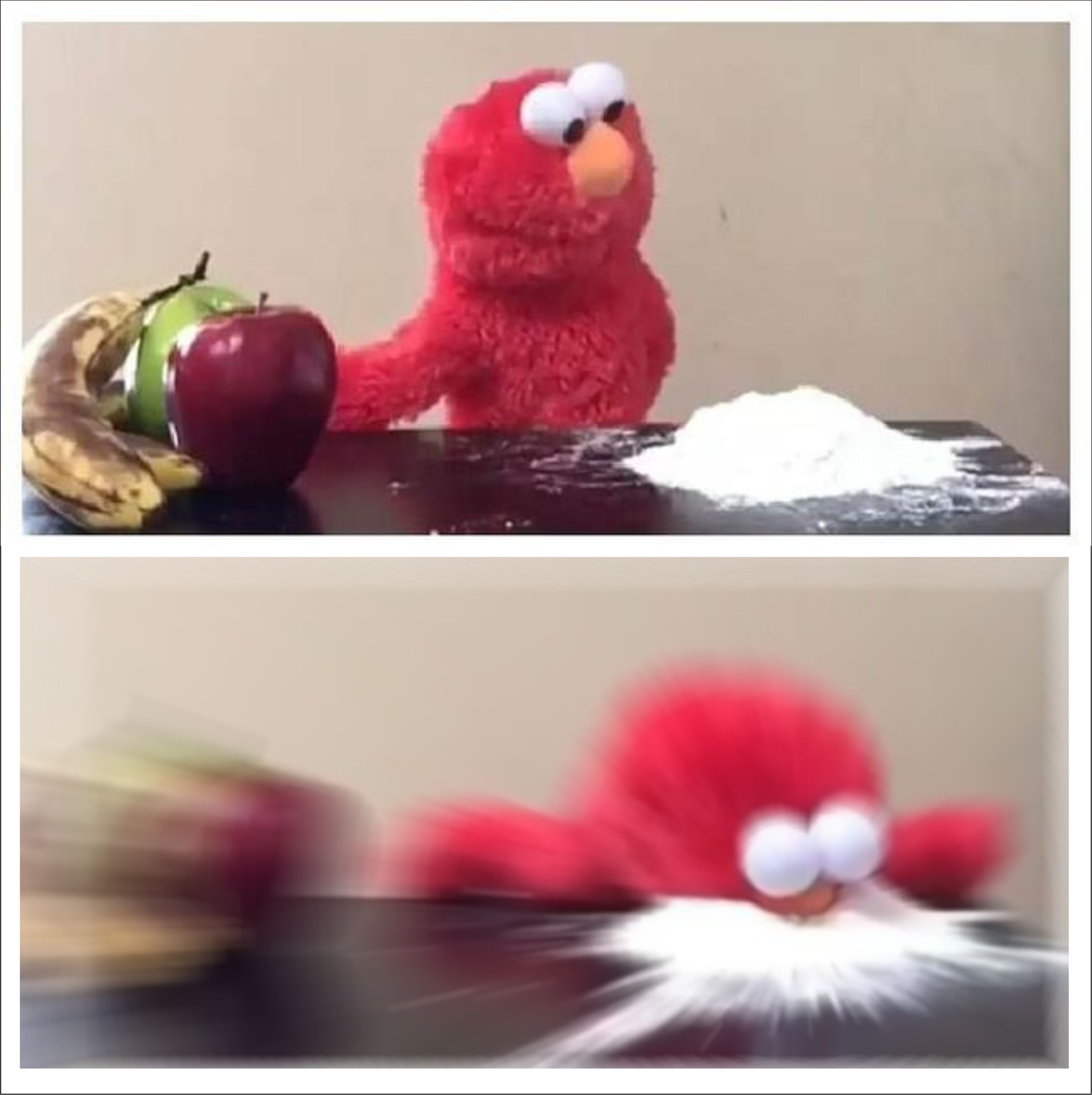 442.jpg