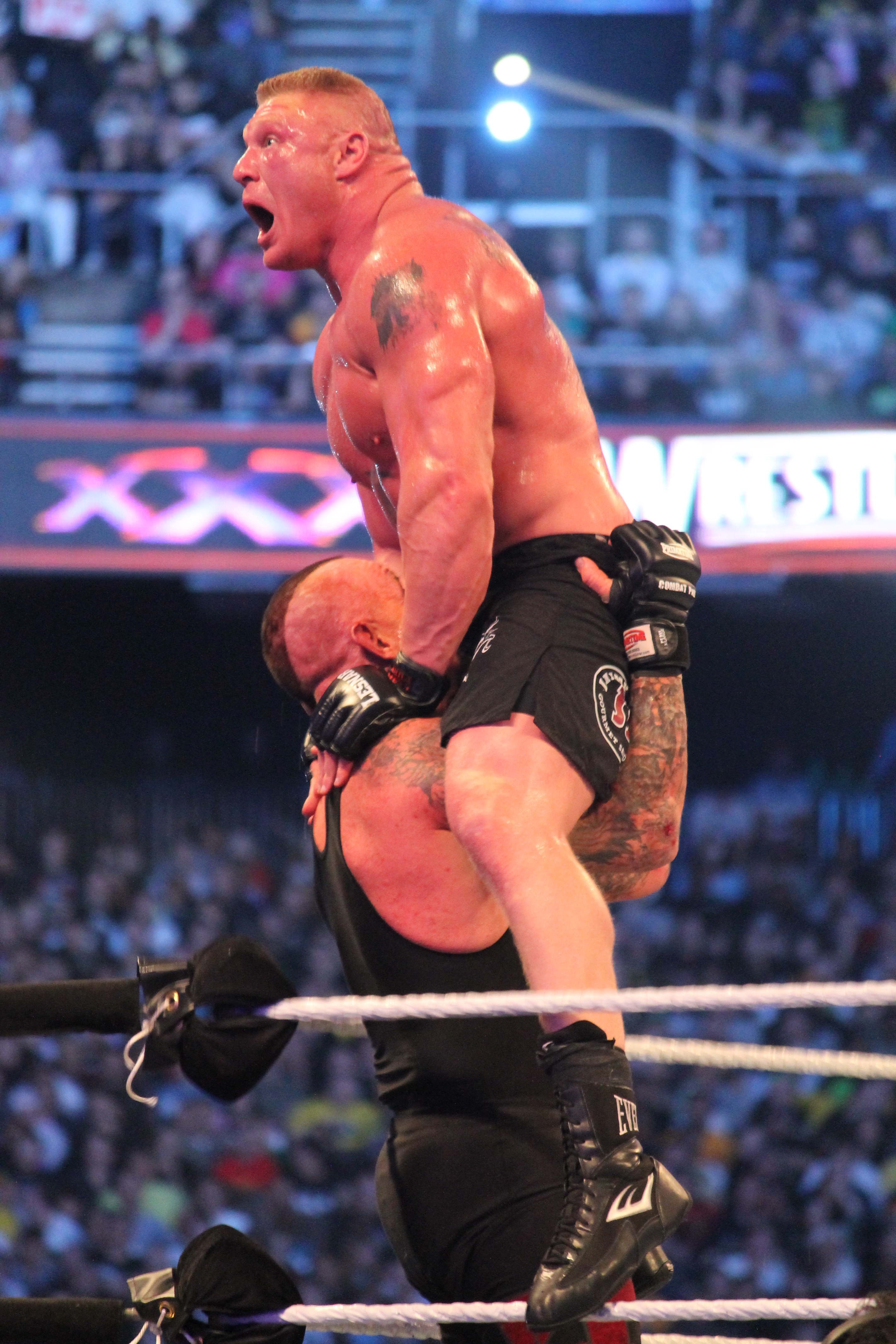 Undertaker_attempts_a_Last_Ride_at_WM30.jpg