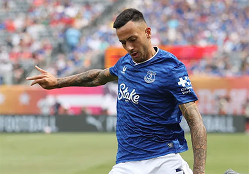 evertonia.com