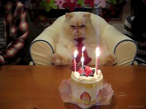 tumblr_me9q8y7yPG1rmp8xao1_500.gif