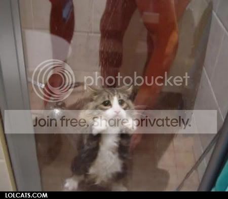 lolcatsdotcomc3k2i0gulwgqf83z.jpg