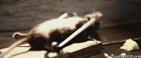 200_d.gif