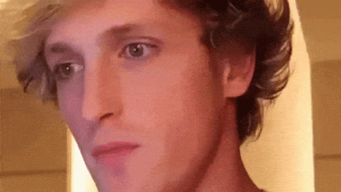 logan-paul-sorry.gif