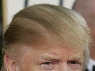 donaldtrumphair.jpg