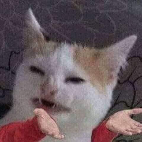Fc6ABmo.jpg
