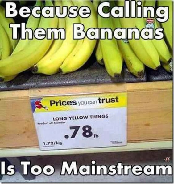 5bc0335b9d1fdceebdc132c24ca88e81.jpg