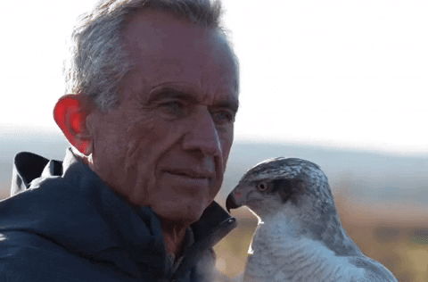 rfk-with-his-bird-pet-g356qirfd2fgba28.gif