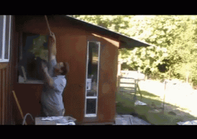 bee-nest.gif