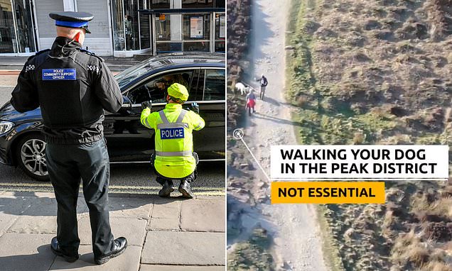 www.dailymail.co.uk