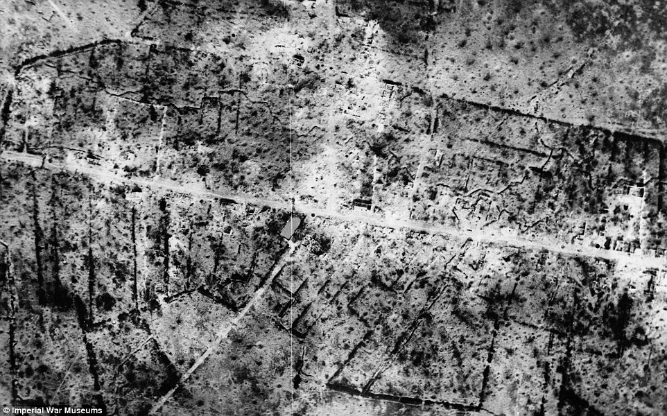 33BD0A6F00000578-3569081-image-a-66_1462196133791.jpg