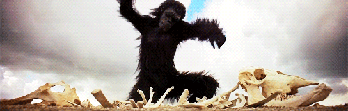 tumblr_pa0x5vC0in1qk14c9o1_500.gif