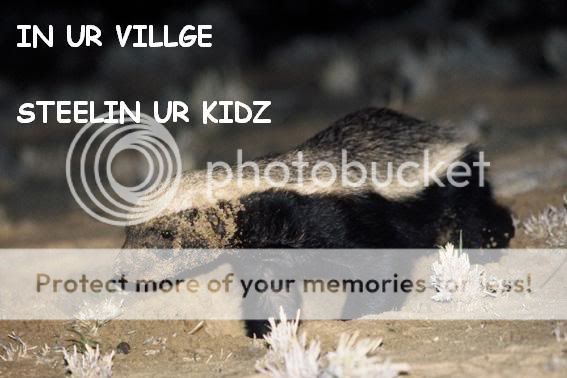 honey_badger_01.jpg