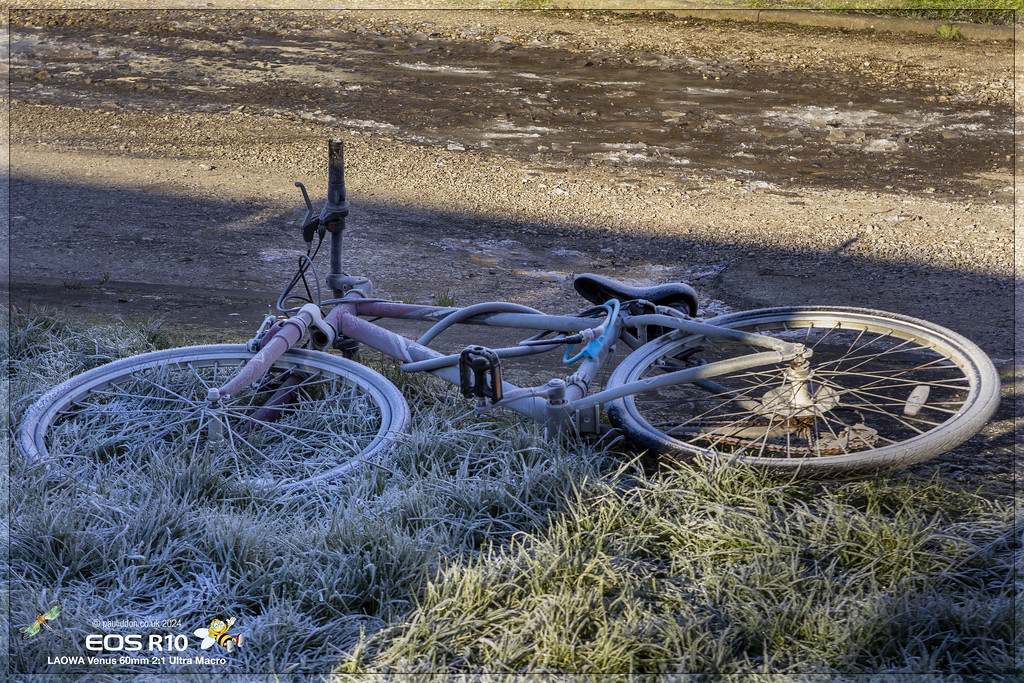 Full_Bike_b-XL.jpg