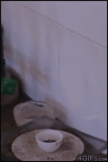 polymerization-nitro-aniline.gif