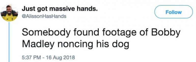 Twitter-troll-@AlissonHasHands-starts-vile-rumour-about-Bobby-Madley-and-a-dog-770x244.jpg