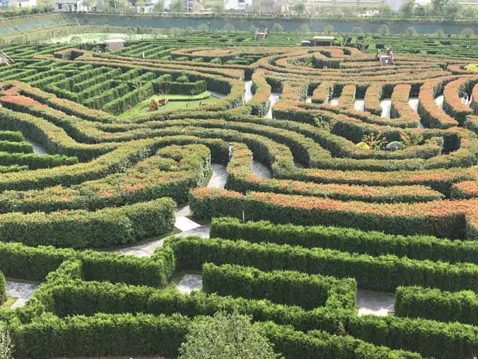 Largest hedge maze 2