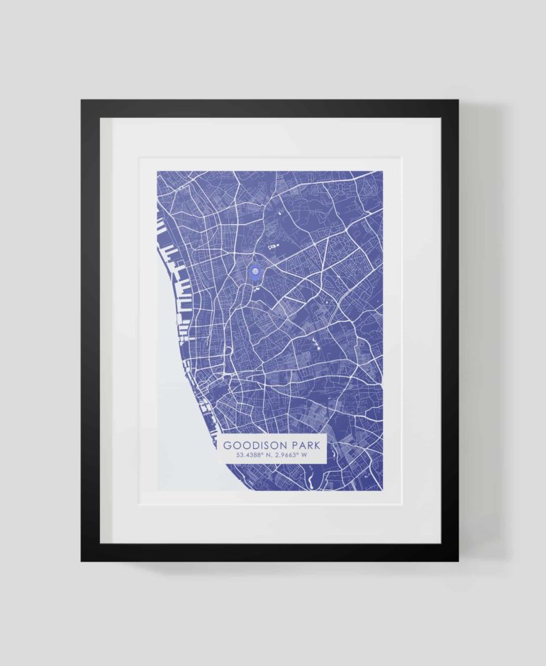 Goodison Park Map - Image 2